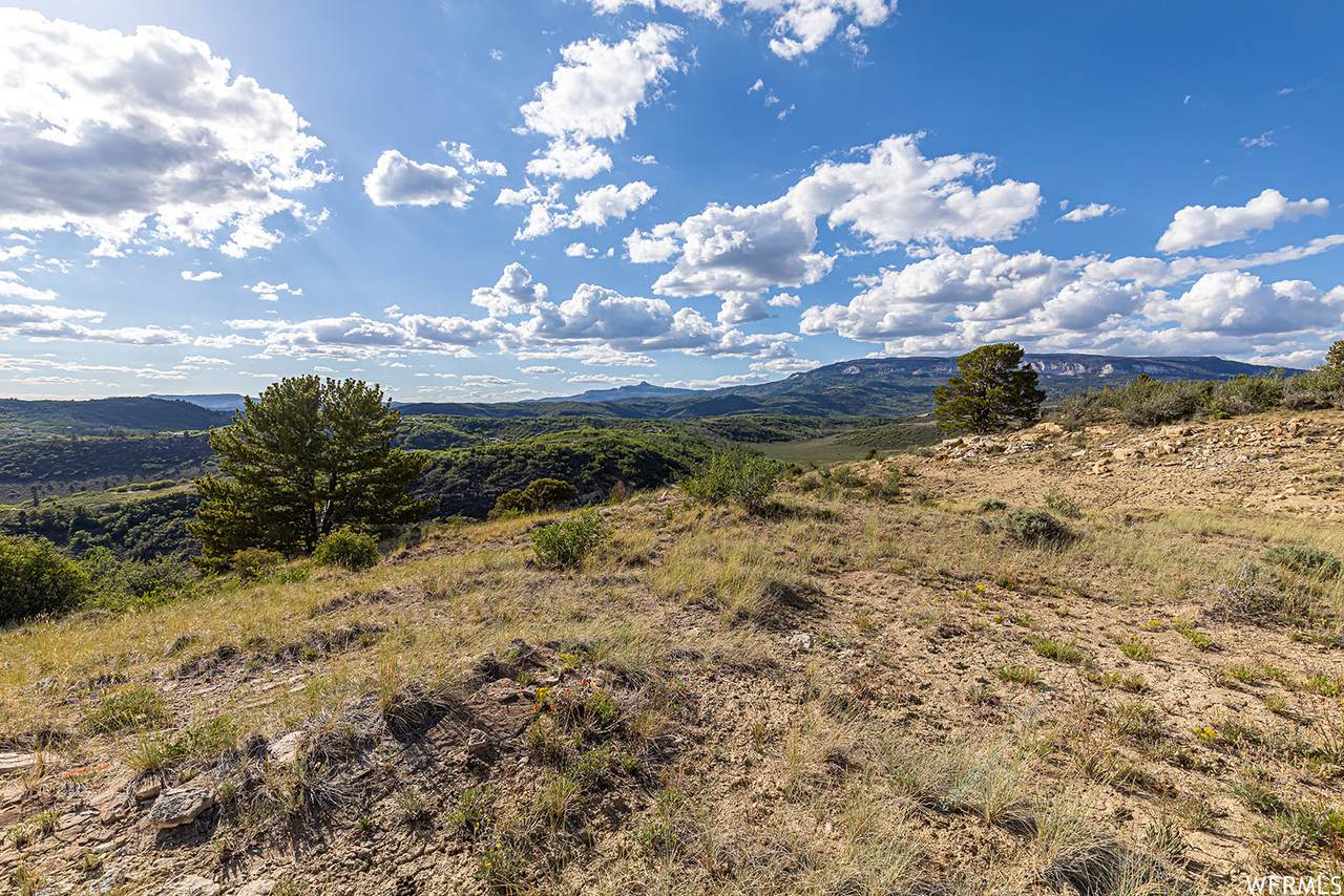 1260 Windy Ridge Rd - Photo 1