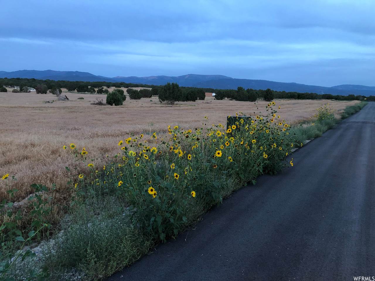 13870 6100 Rd - Photo 1