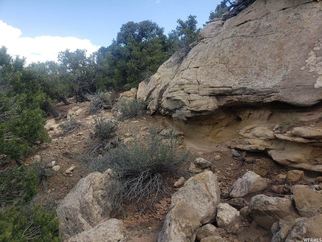 https://bt-photos.global.ssl.fastly.net/wasatch/1280_boomver_1_1833814-1.jpg