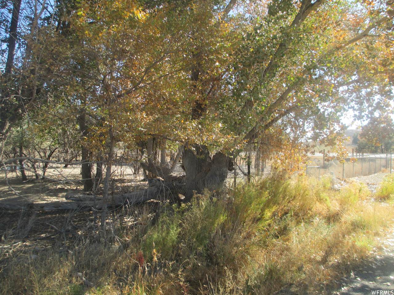 901 500 - Photo 1