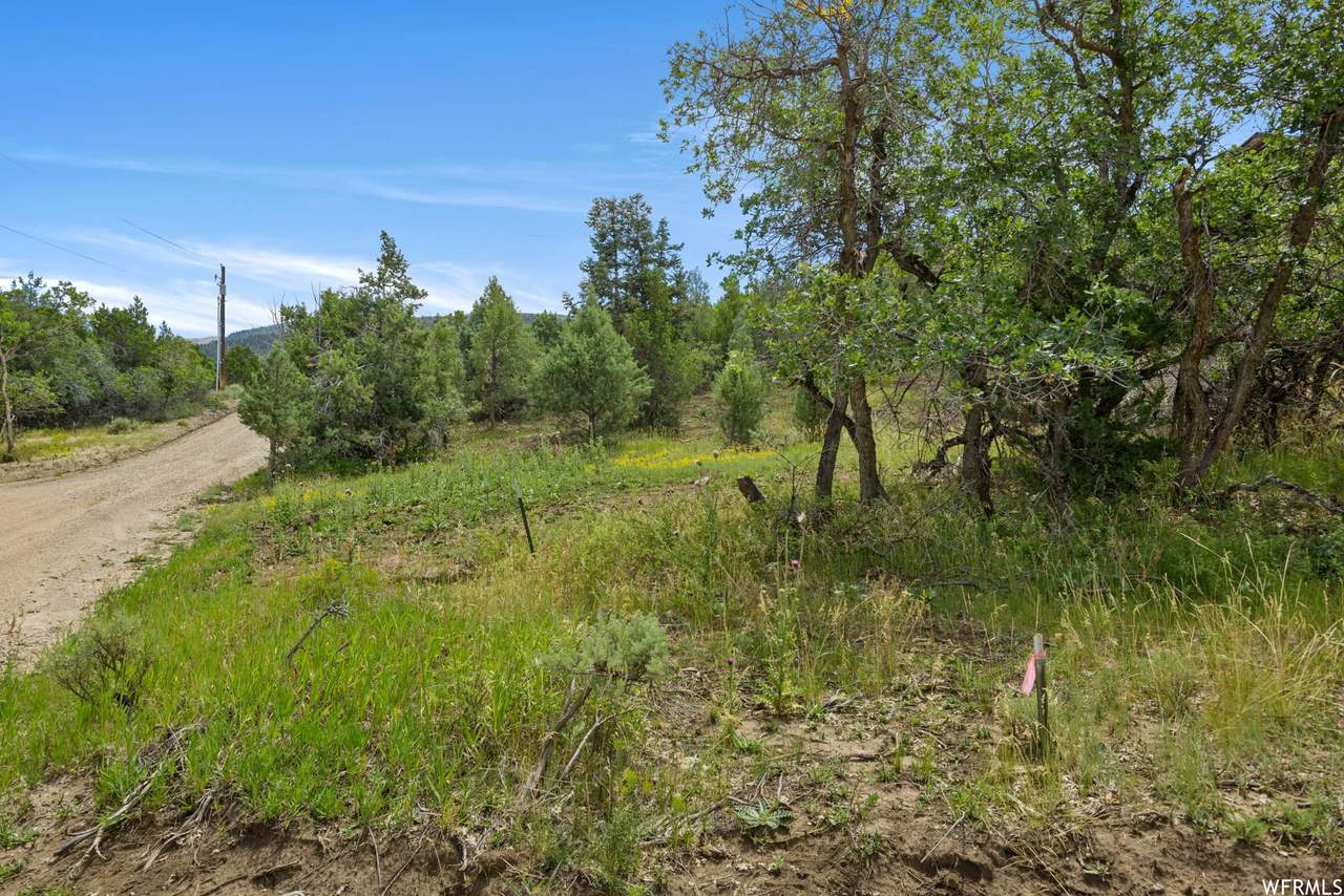 170 Whispering Pines Dr - Photo 1
