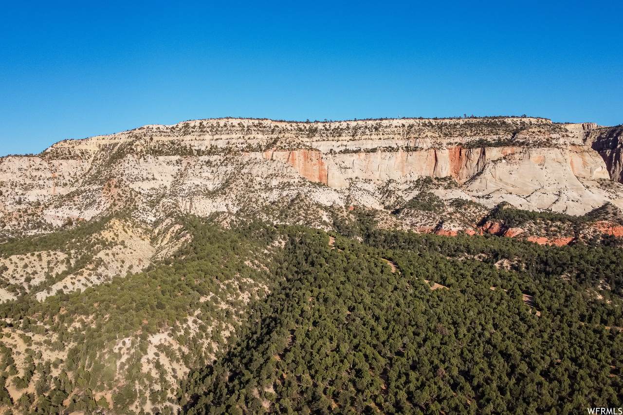 Pinyon Pine Dr - Photo 1