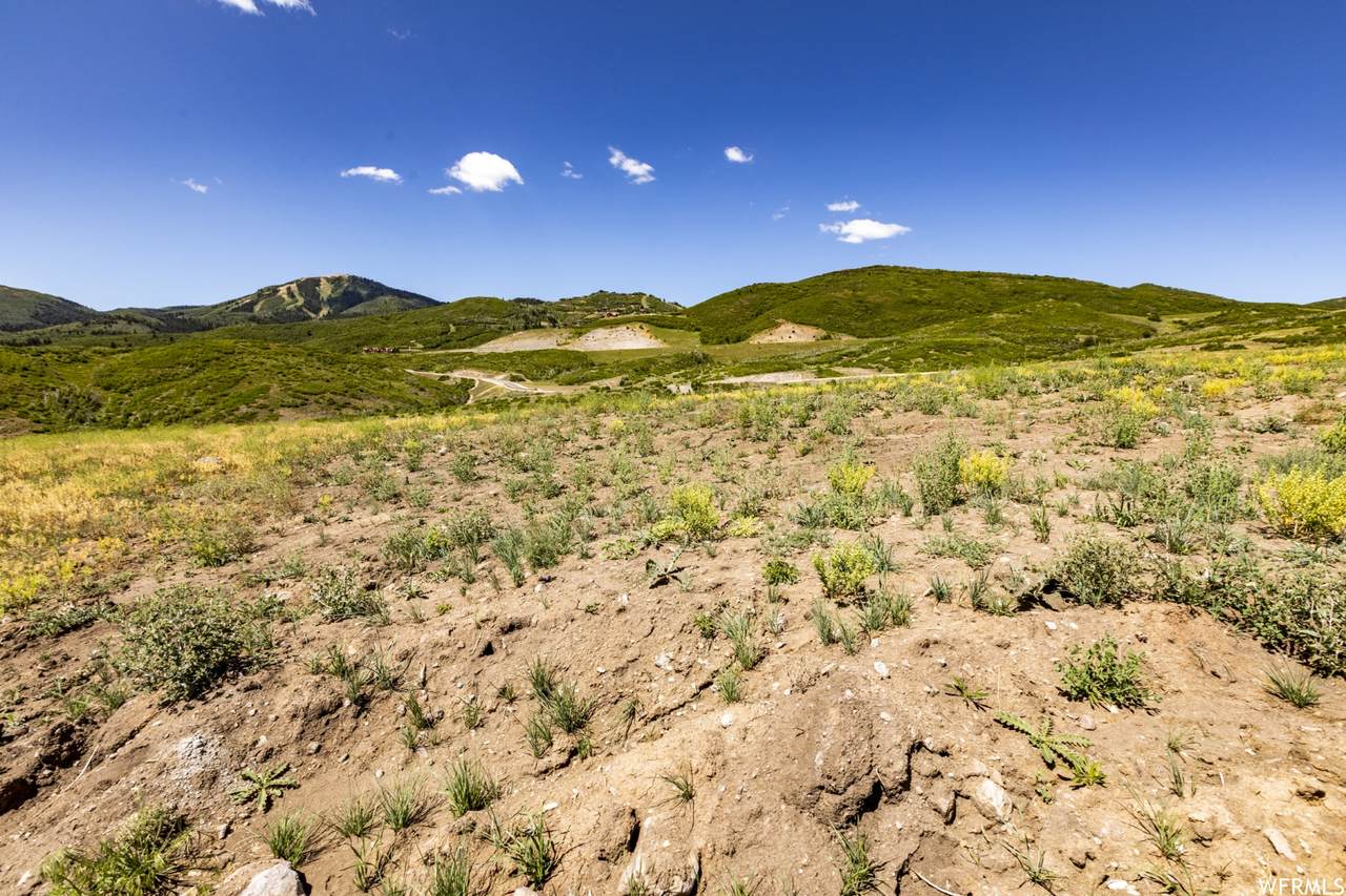 1708 Centaur Ct - Photo 1