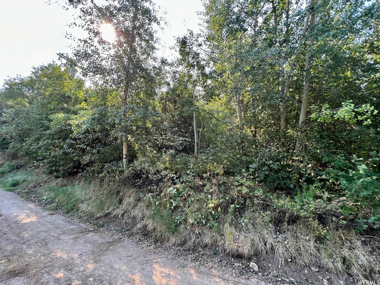 1330 Georgia Ln - Photo 1