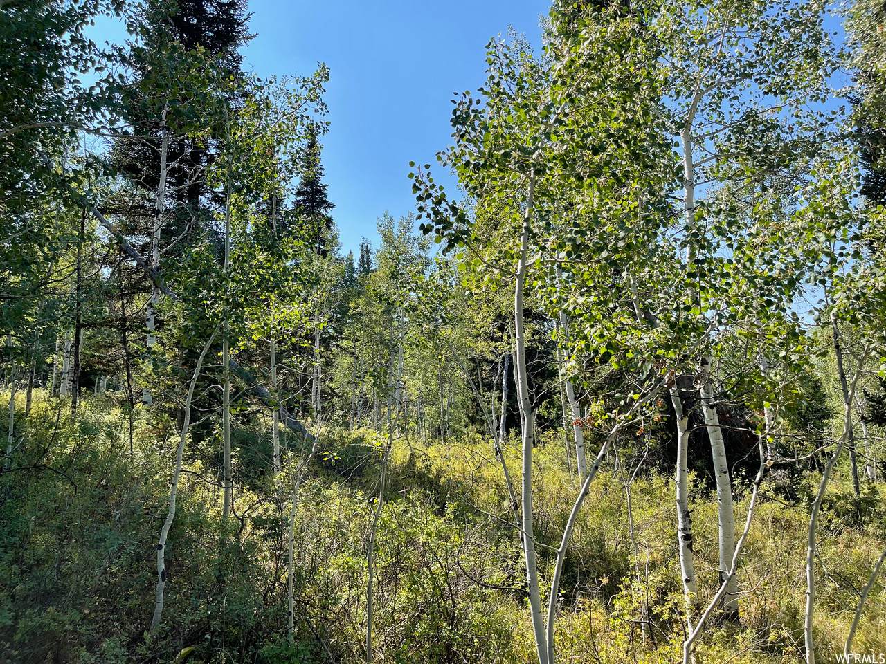 5615 Targhee Dr. - Photo 1