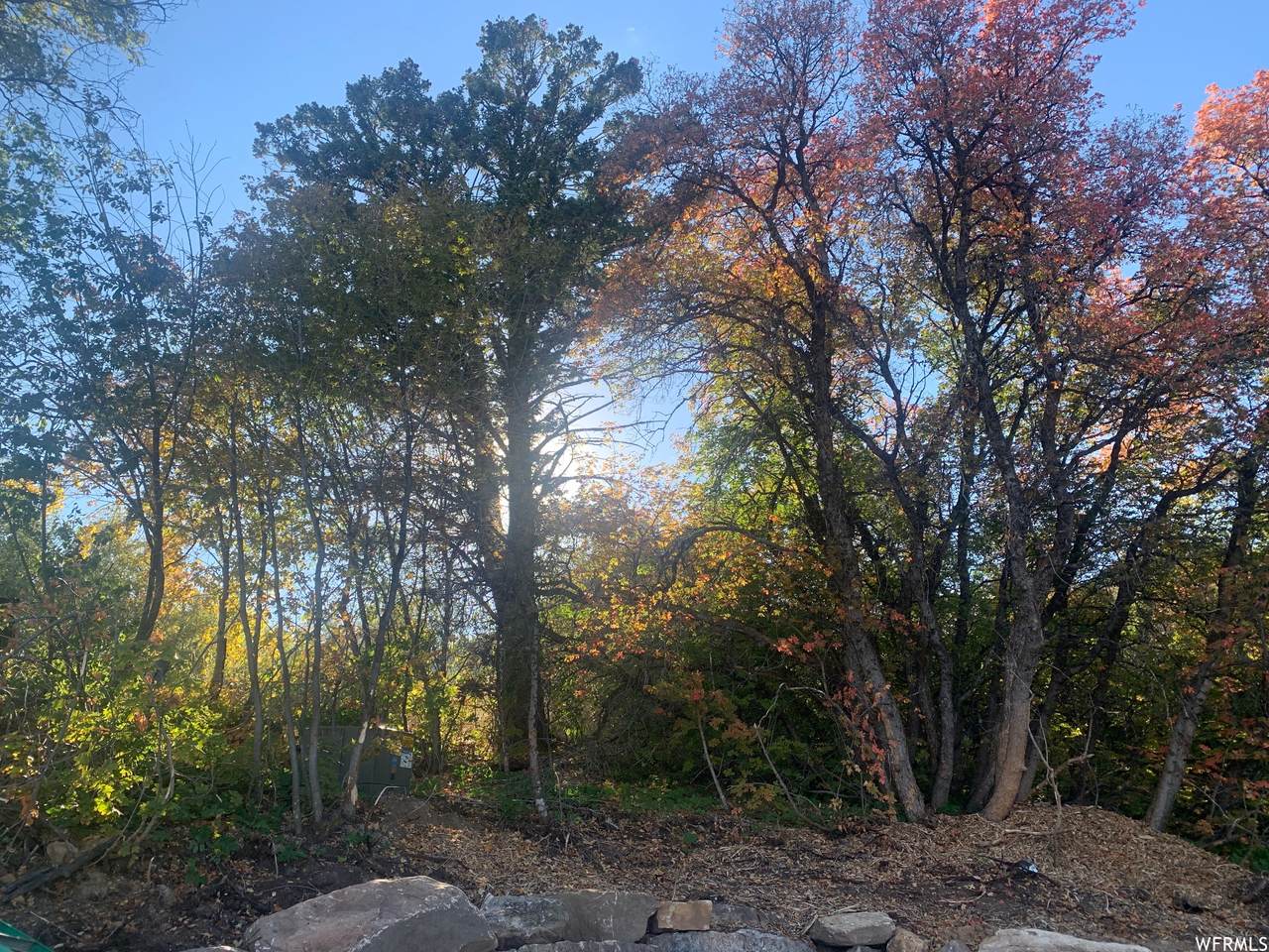 214 Juniper Dr - Photo 1