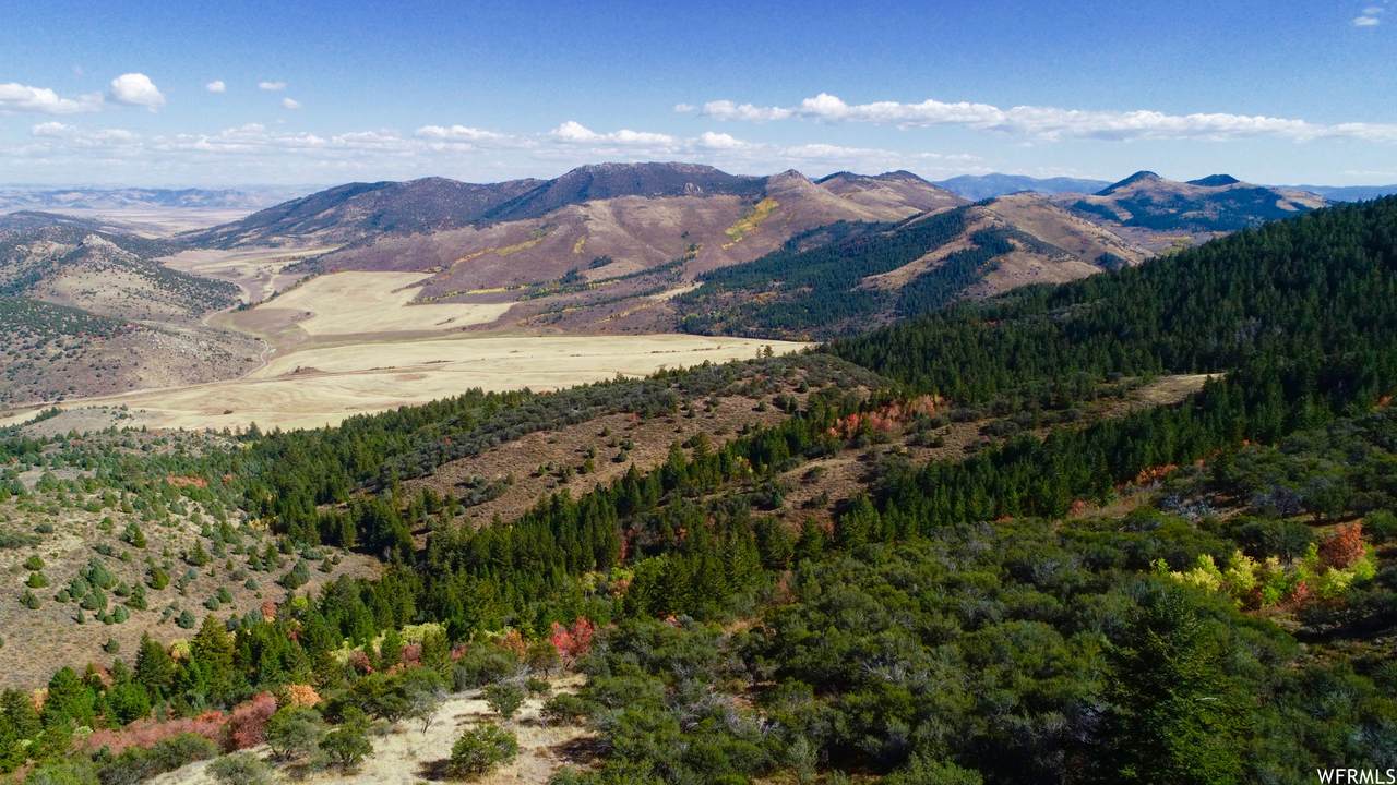 1 Wyoming Trl - Photo 1