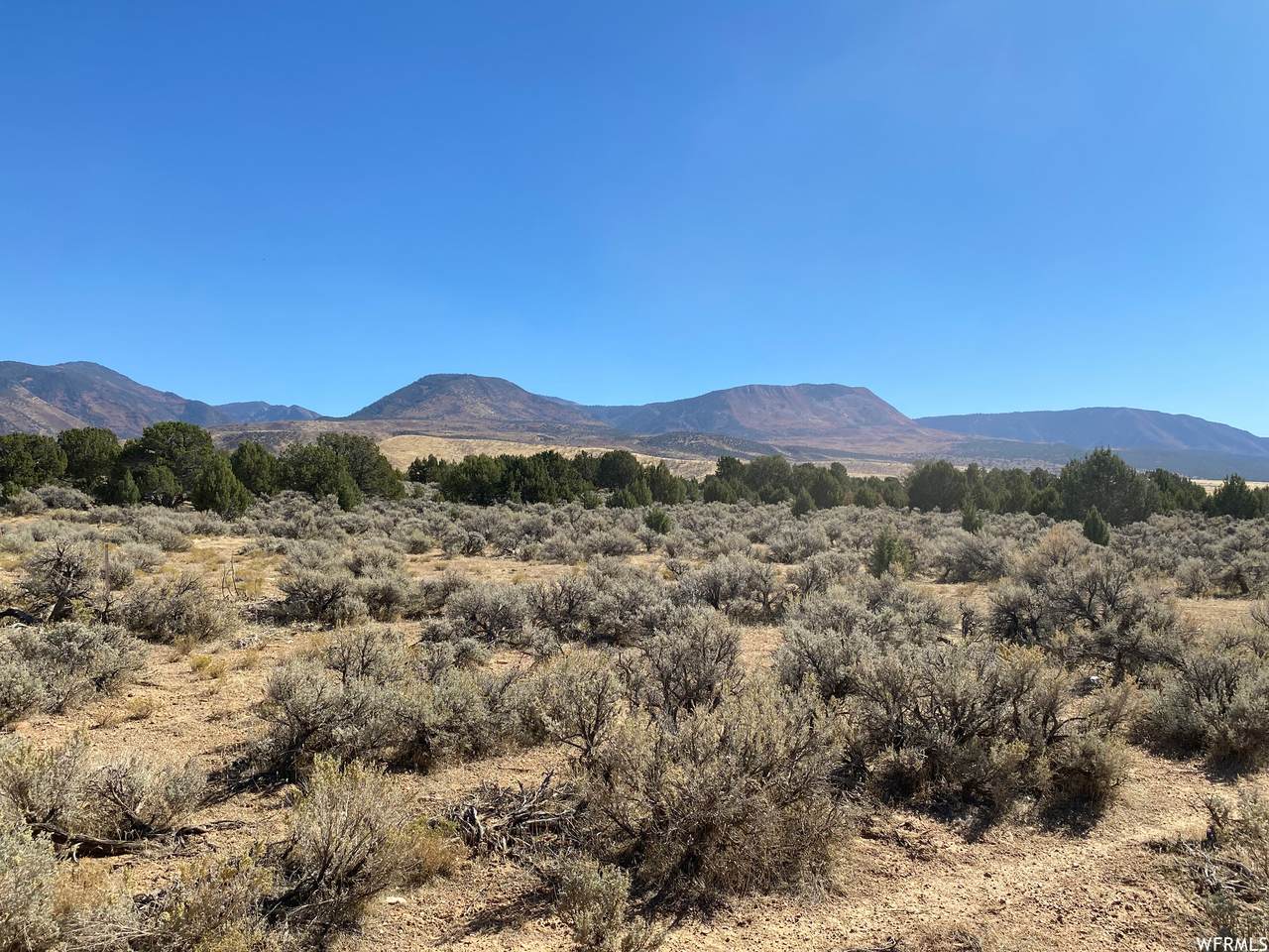 1900 Meadow Creek Canyon Rd - Photo 1
