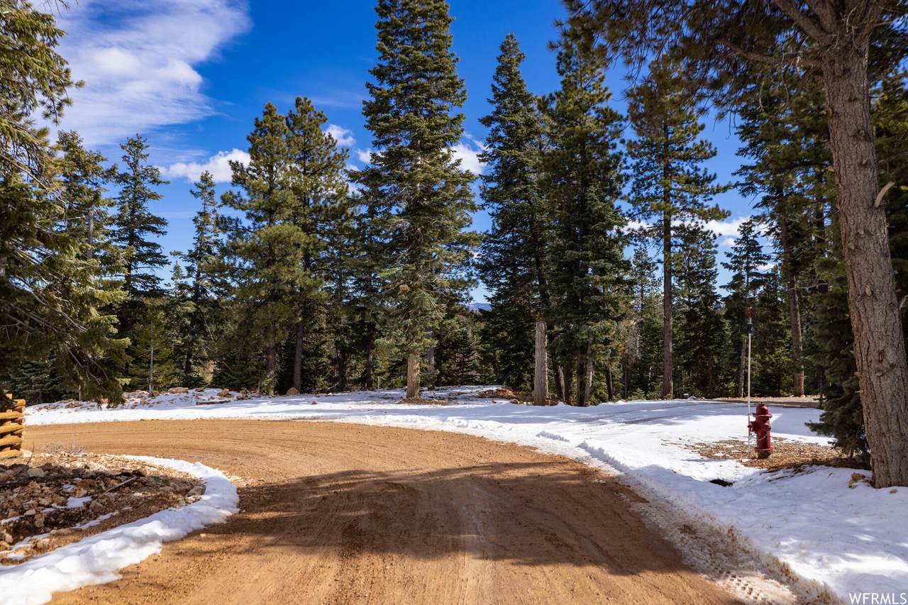 925 Pioneer Rd - Photo 1