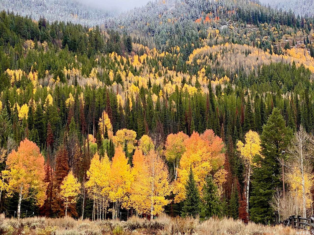 Weber Canyon Rd - Photo 1