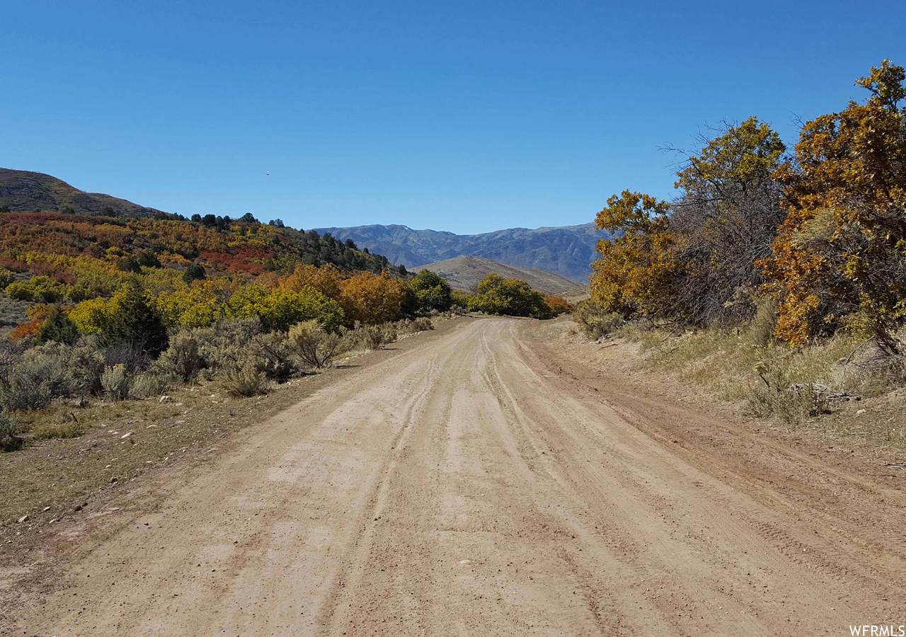 54 Mount Baldy Loop - Photo 1