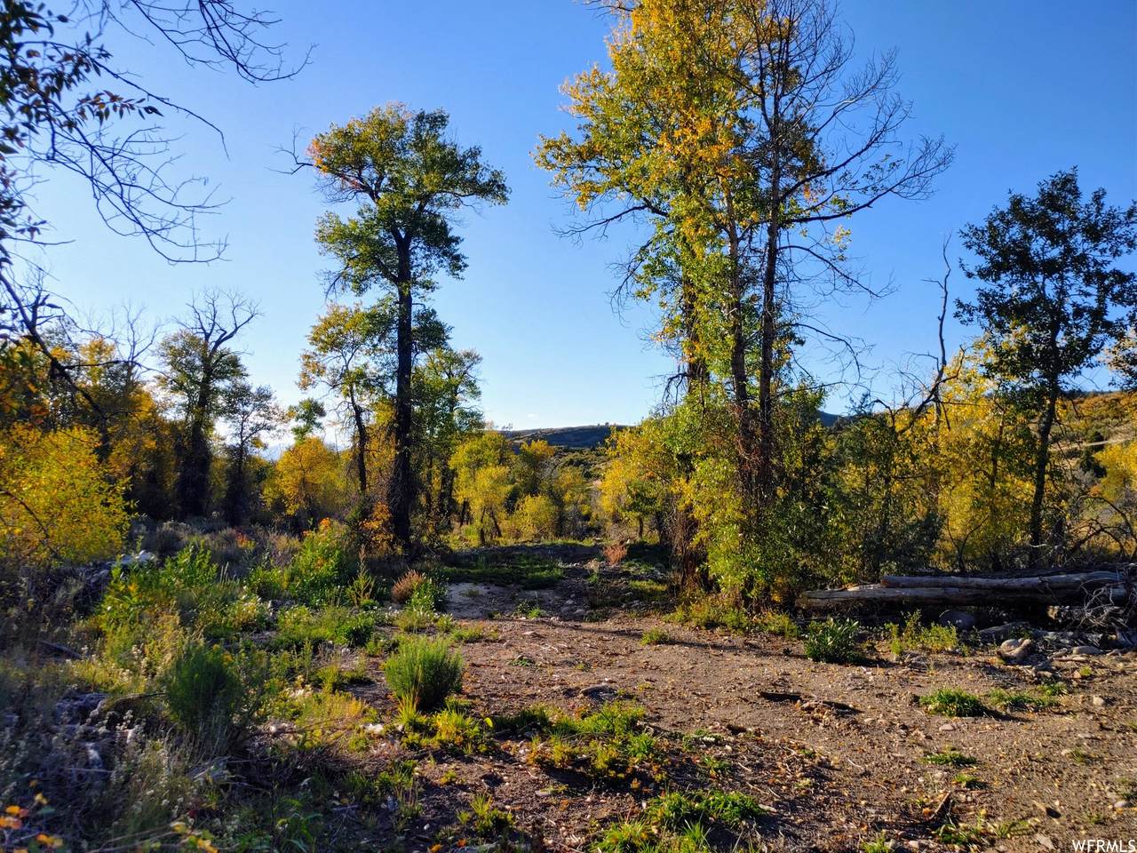 8000 Lake Creek Rd - Photo 1
