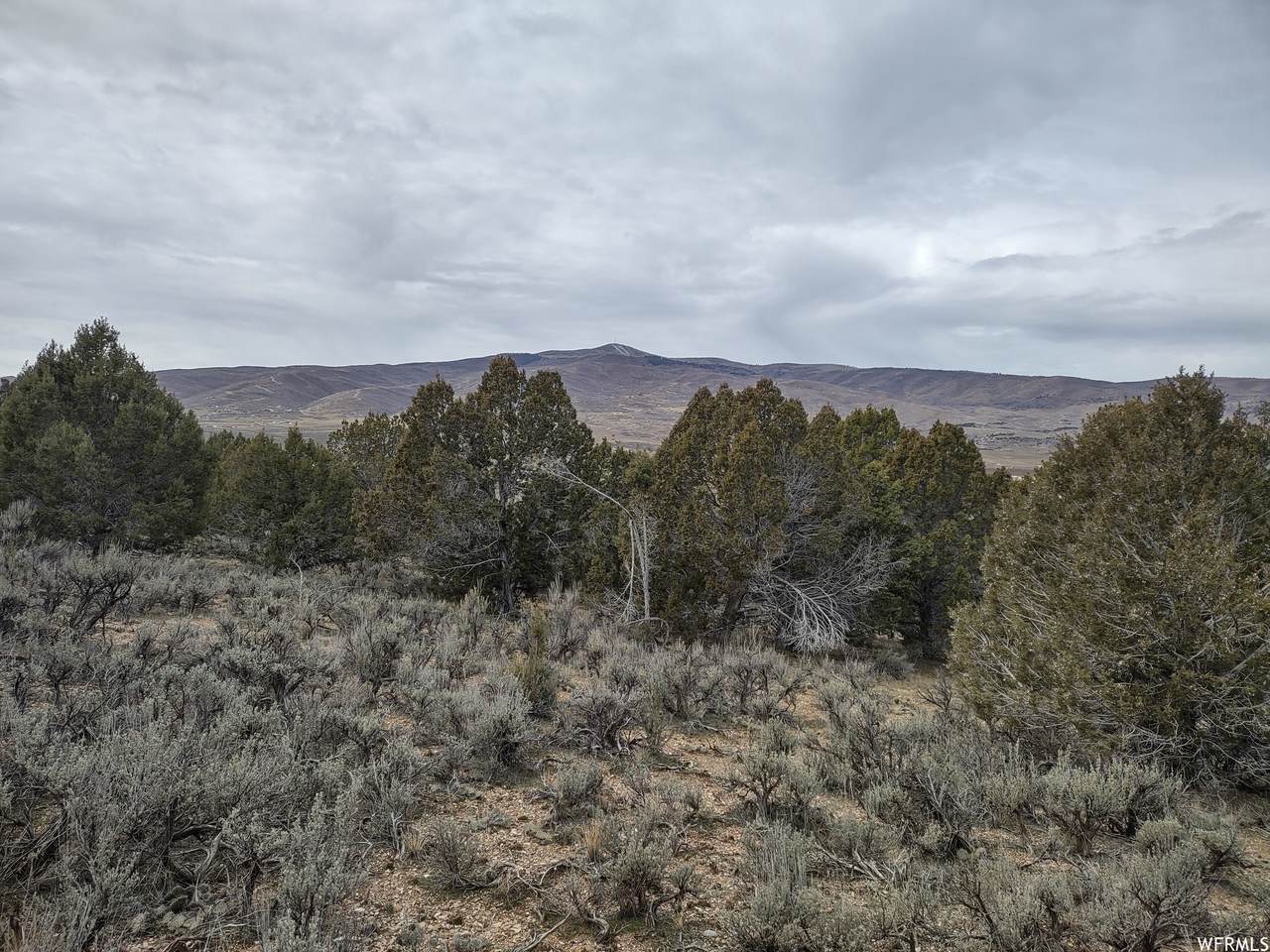33886 8300 - Photo 1
