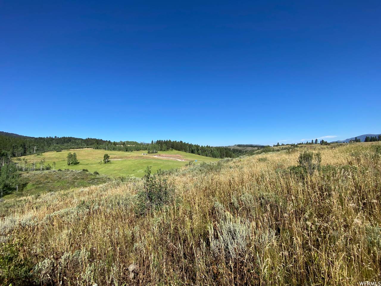 50 Grouse Loop Rd - Photo 1