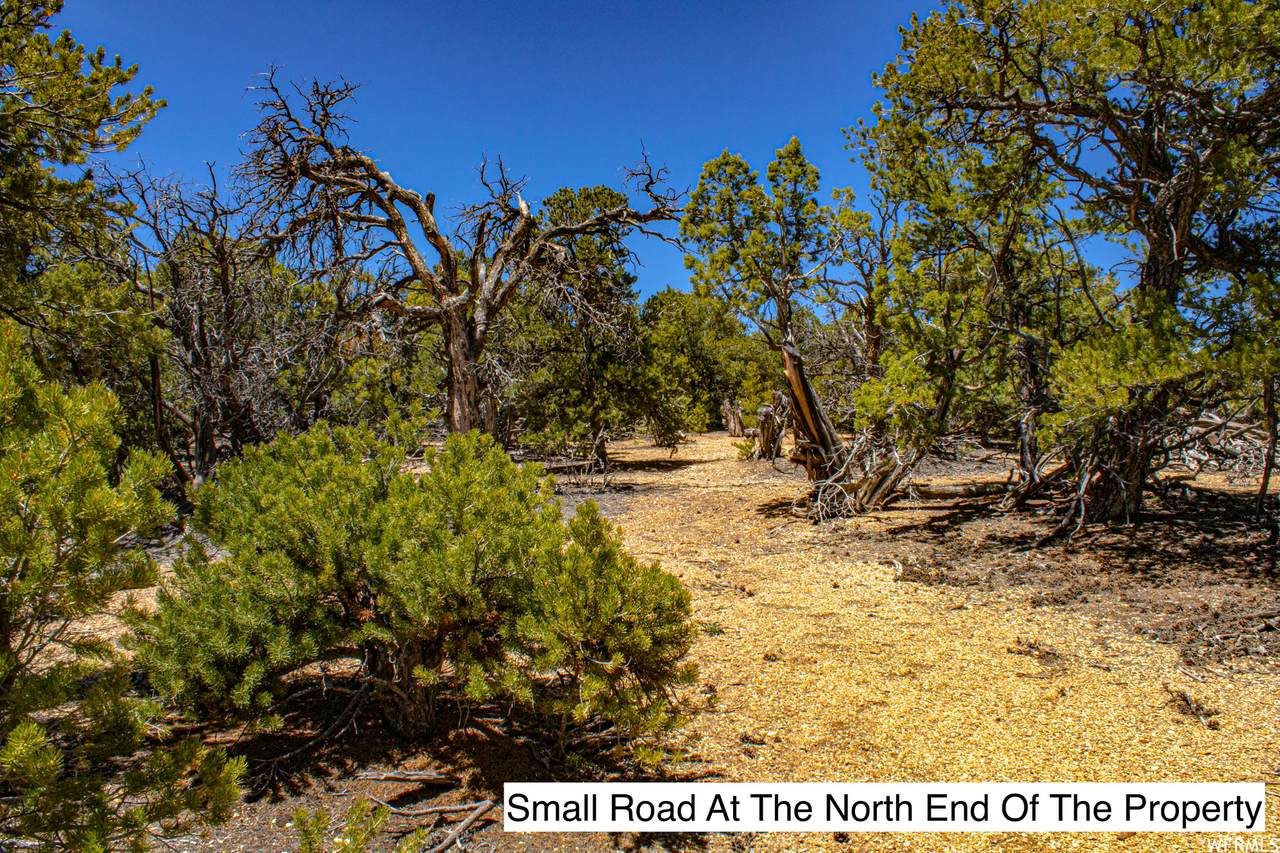 0 39300 - Photo 1