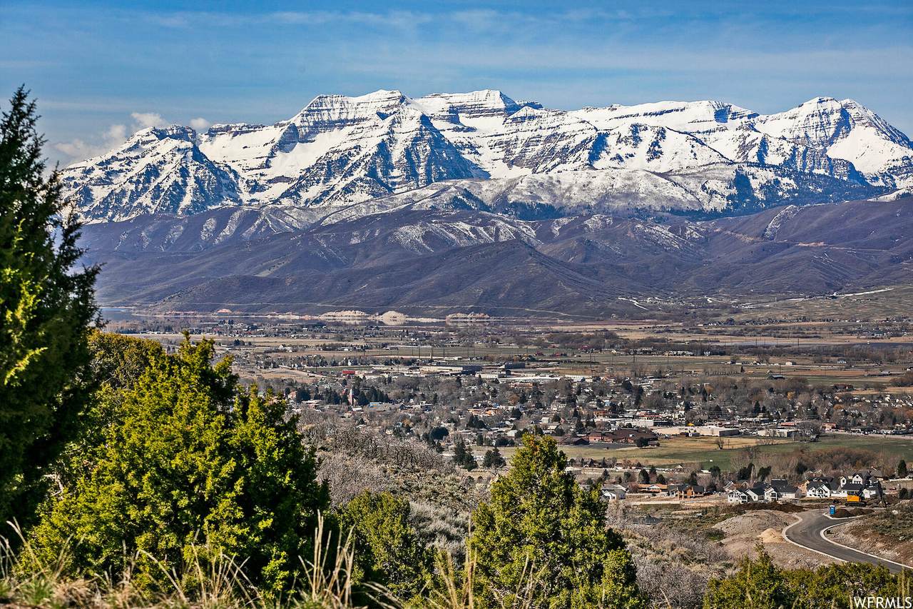 2935 La Sal Peak Dr - Photo 1