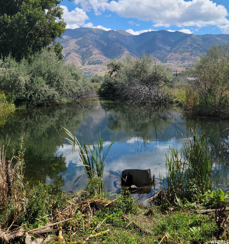 https://bt-photos.global.ssl.fastly.net/wasatch/1280_boomver_1_1886635-1.jpg