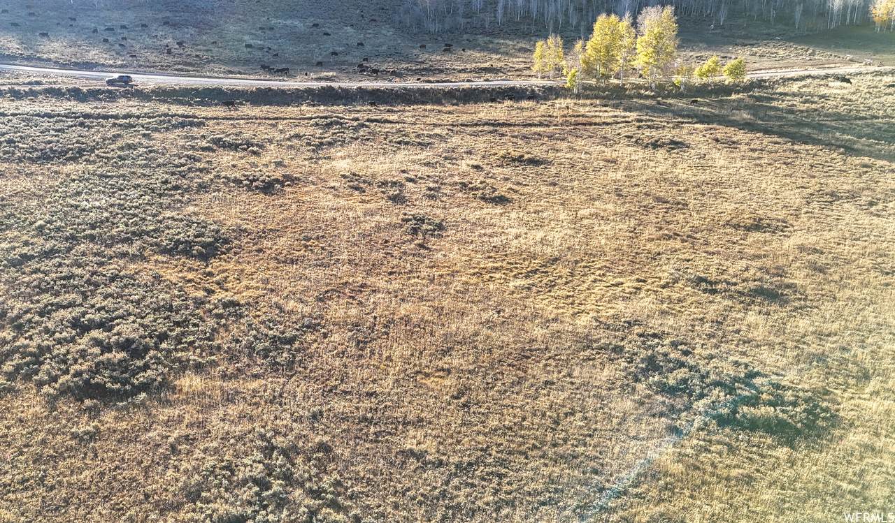 https://bt-photos.global.ssl.fastly.net/wasatch/1280_boomver_1_1963374-1.jpg