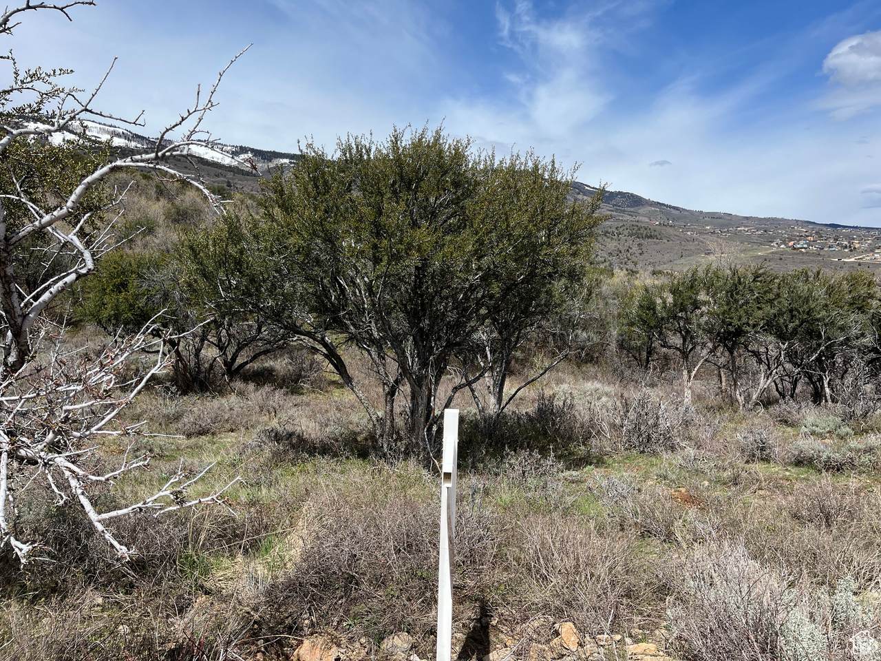 https://bt-photos.global.ssl.fastly.net/wasatch/1280_boomver_1_1992114-1.jpg