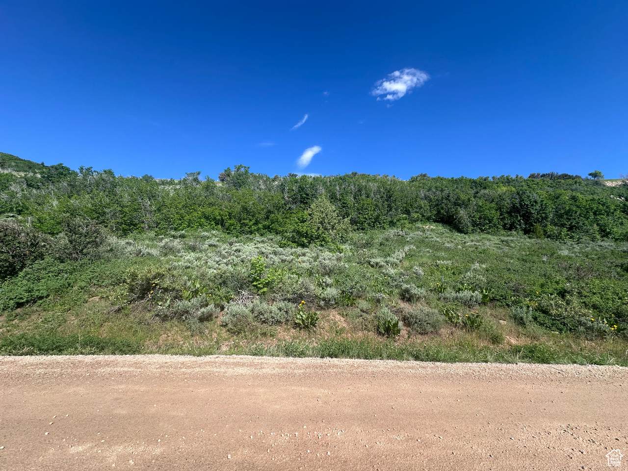 https://bt-photos.global.ssl.fastly.net/wasatch/1280_boomver_1_2004962-1.jpg