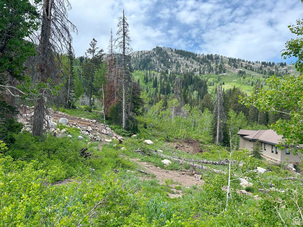 12176 Big Cottonwood Canyon Rd - Photo 1