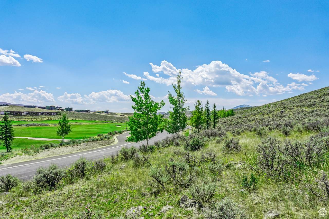 6237 Painted Valley Pass - Photo 1