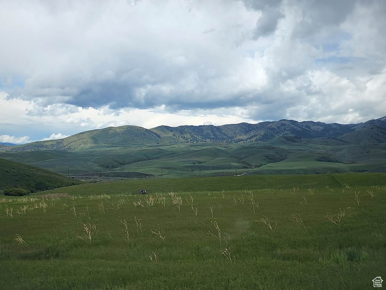 https://bt-photos.global.ssl.fastly.net/wasatch/orig_boomver_1_2017445-1.jpg