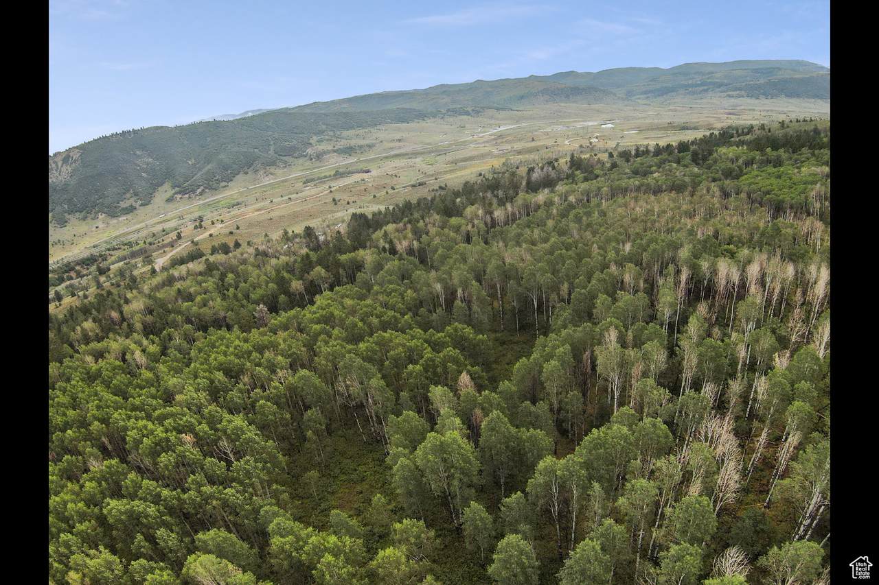 17161 Sundance - Photo 1