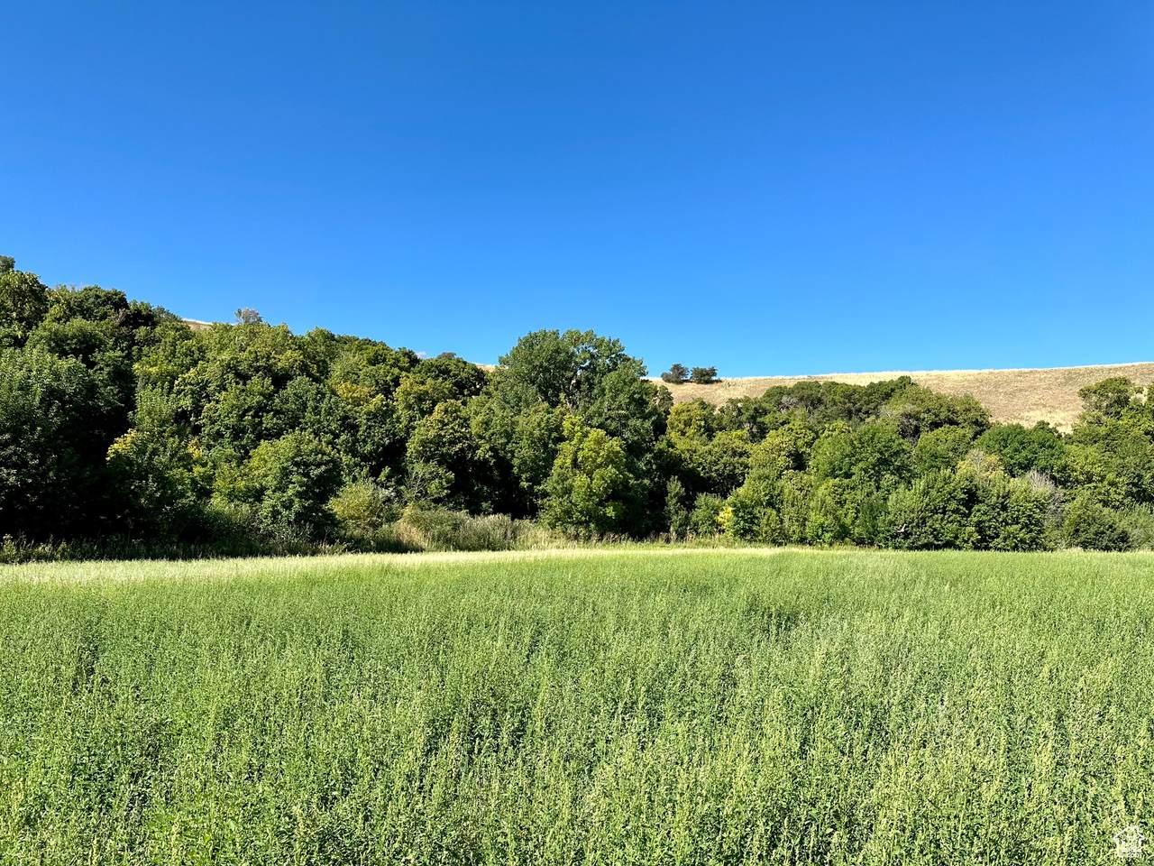 5025 Hollow Rd - Photo 1