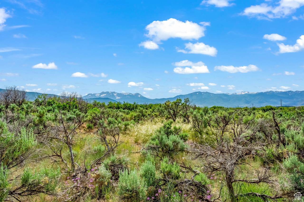 10 Skyline View Dr - Photo 1