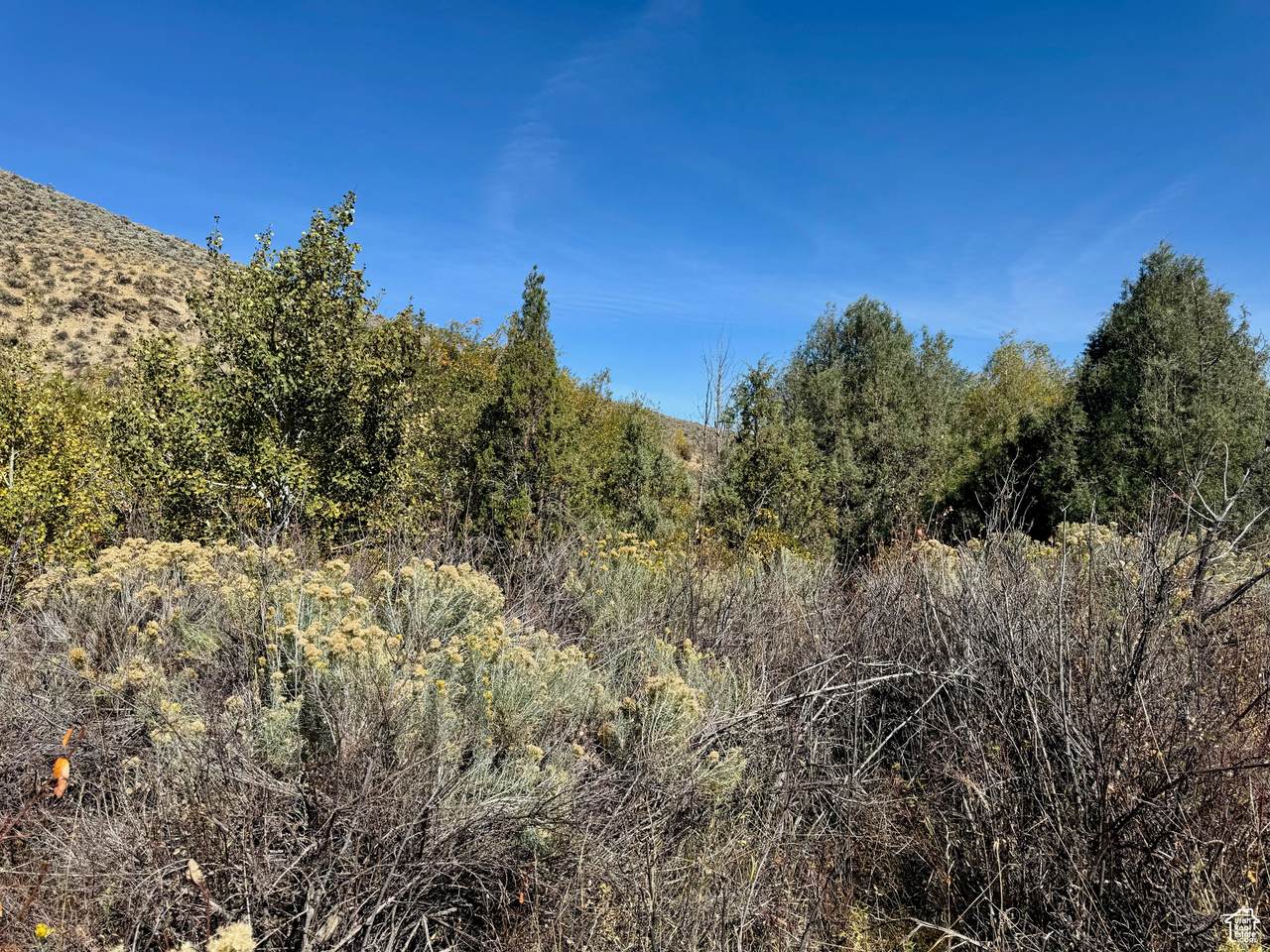 https://bt-photos.global.ssl.fastly.net/wasatch/1280_boomver_1_2026422-1.jpg
