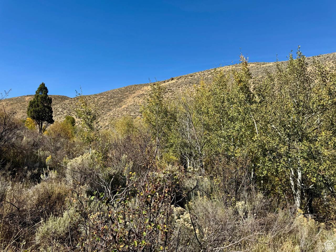 https://bt-photos.global.ssl.fastly.net/wasatch/1280_boomver_1_2026422-1.jpg