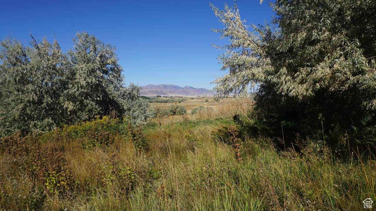 https://bt-photos.global.ssl.fastly.net/wasatch/1280_boomver_1_2027157-1.jpg