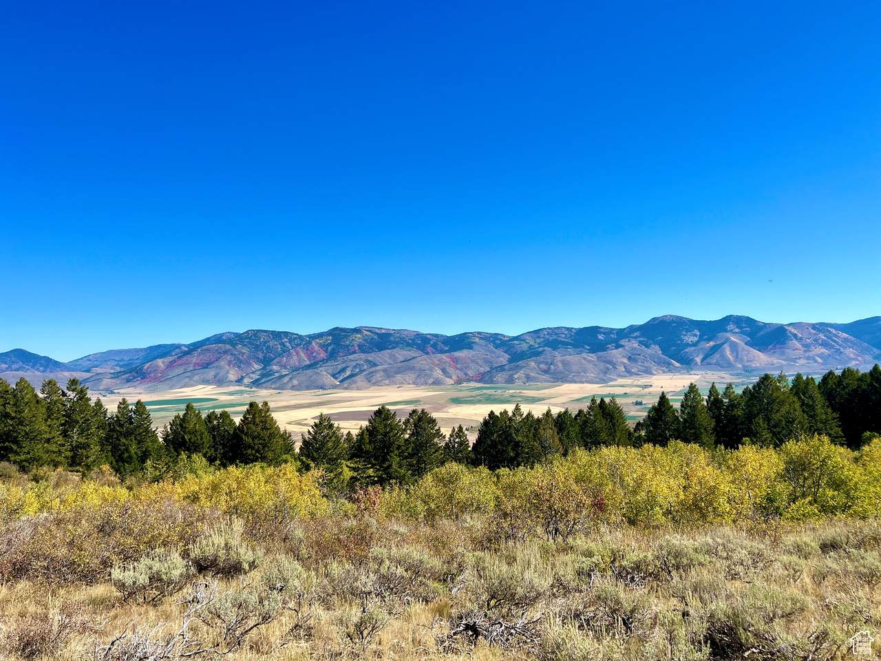 https://bt-photos.global.ssl.fastly.net/wasatch/1280_boomver_1_2029565-1.jpg