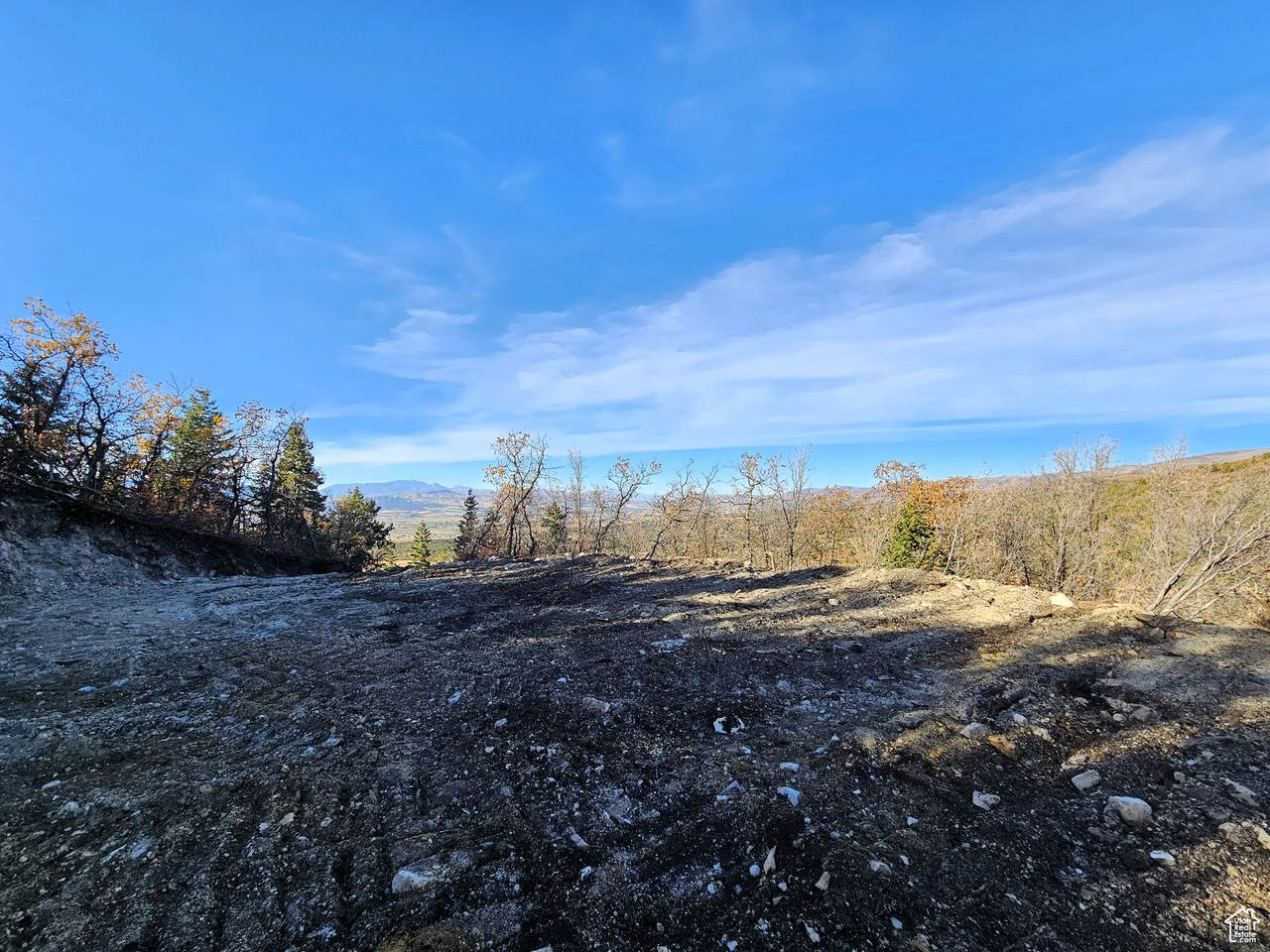 17 Pine Crest Dr - Photo 1