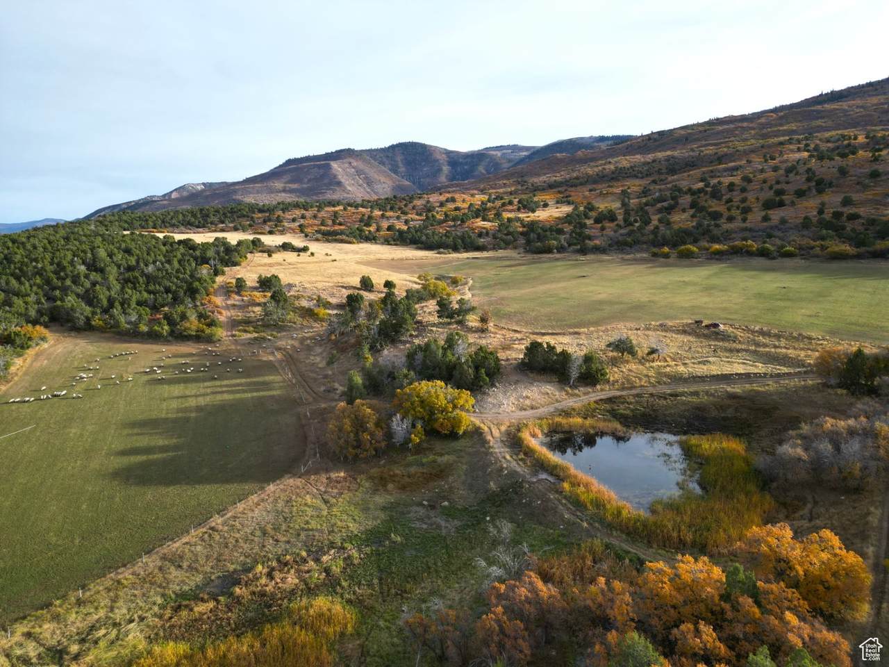 https://bt-photos.global.ssl.fastly.net/wasatch/1280_boomver_1_2044528-1.jpg
