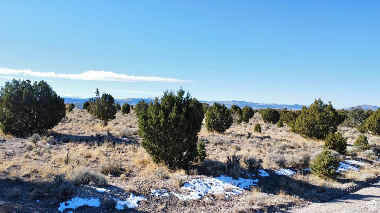https://bt-photos.global.ssl.fastly.net/wasatch/1280_boomver_1_2051094-1.jpg