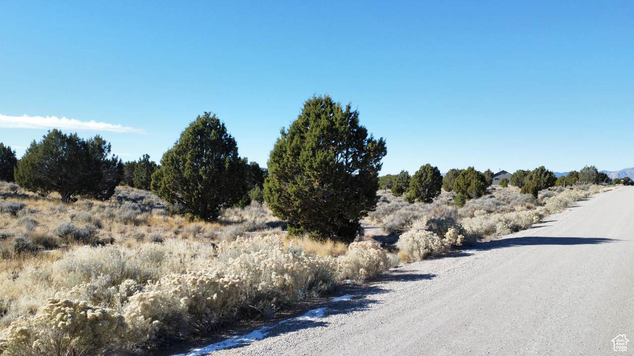 https://bt-photos.global.ssl.fastly.net/wasatch/1280_boomver_1_2051094-1.jpg