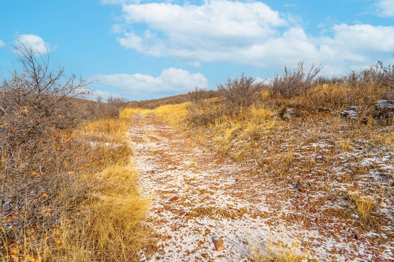 https://bt-photos.global.ssl.fastly.net/wasatch/1280_boomver_1_2054109-1.jpg