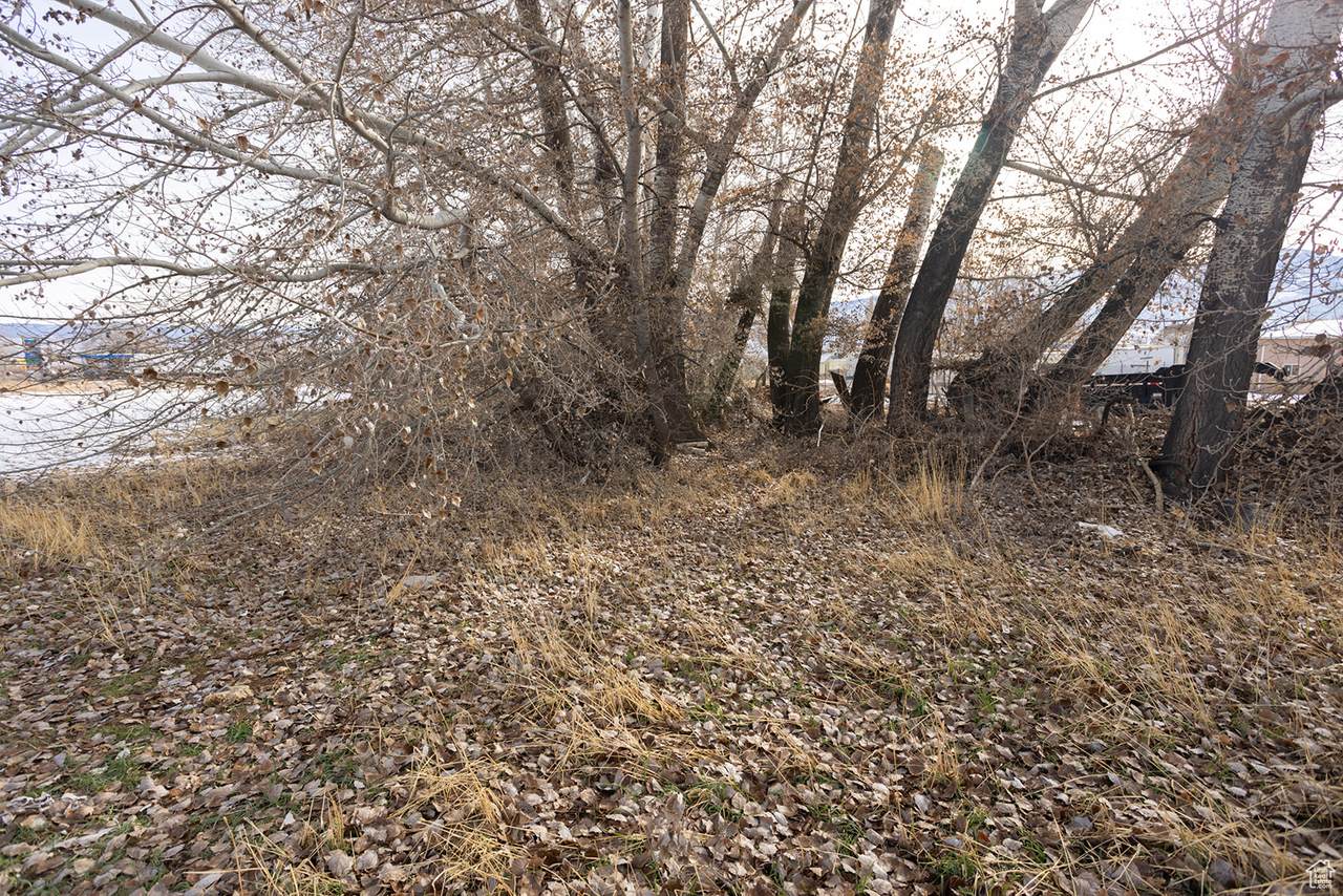 https://bt-photos.global.ssl.fastly.net/wasatch/1280_boomver_1_2054875-1.jpg