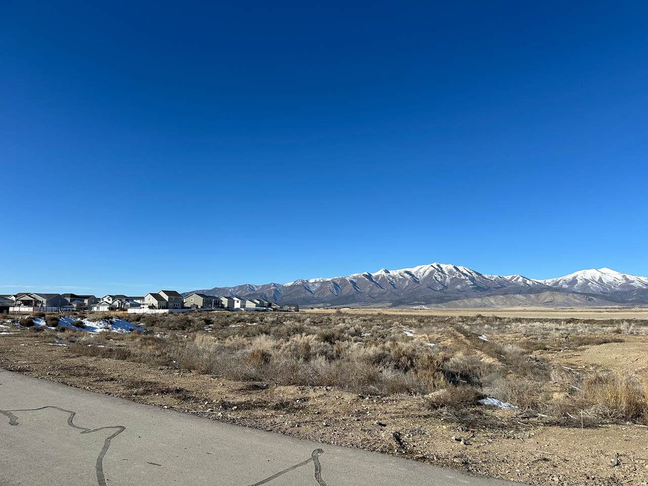 8029 Bristle Cone Rd - Photo 1