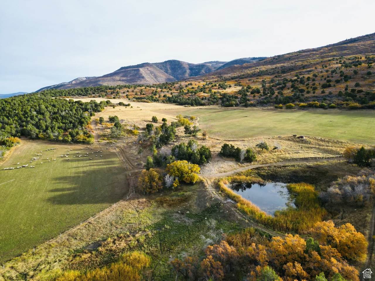 https://bt-photos.global.ssl.fastly.net/wasatch/1280_boomver_1_2061725-1.jpg