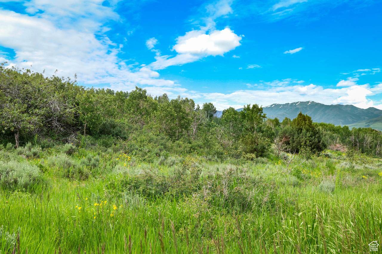  Green Canyon Rd - Photo 1