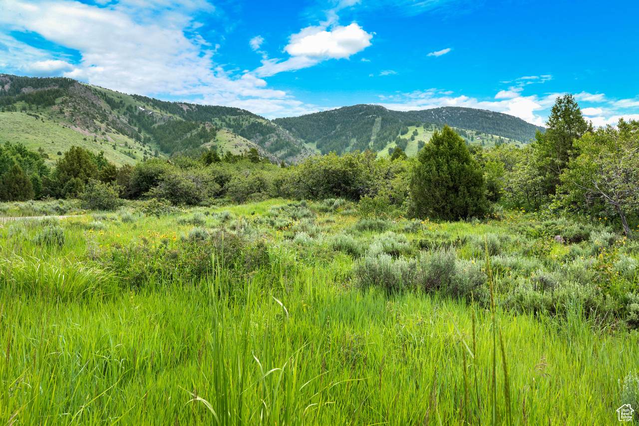 https://bt-photos.global.ssl.fastly.net/wasatch/1280_boomver_1_2066133-1.jpg