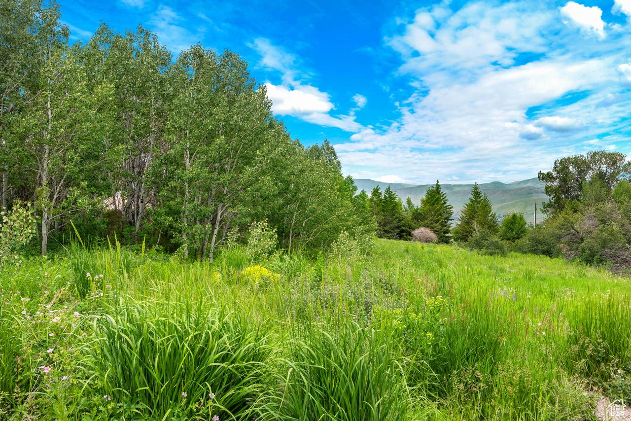 https://bt-photos.global.ssl.fastly.net/wasatch/1280_boomver_1_2066133-1.jpg