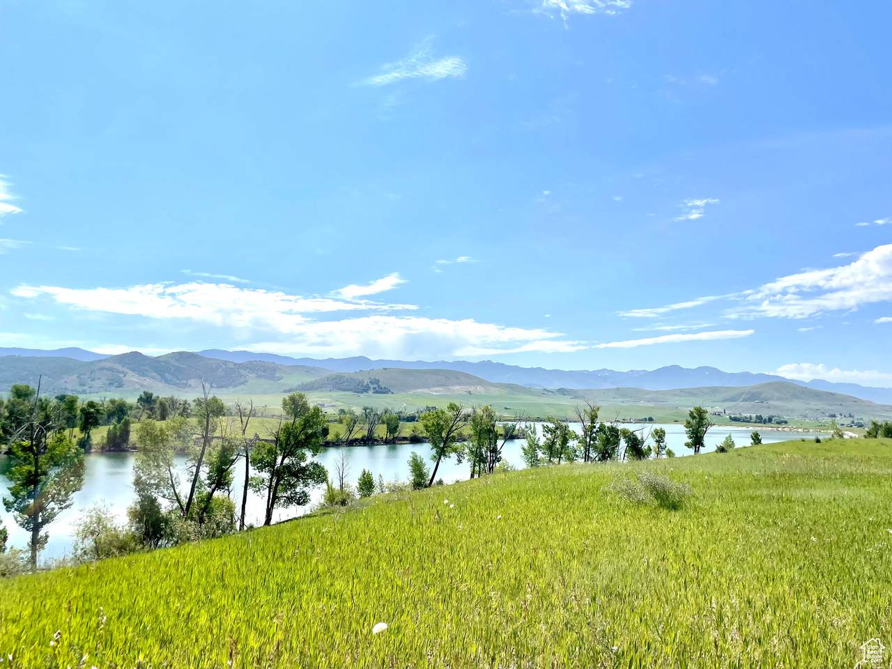 https://bt-photos.global.ssl.fastly.net/wasatch/1280_boomver_1_2068111-1.jpg