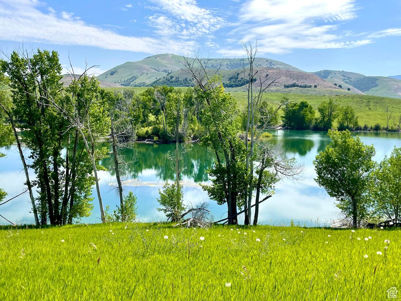 https://bt-photos.global.ssl.fastly.net/wasatch/1280_boomver_1_2068111-1.jpg
