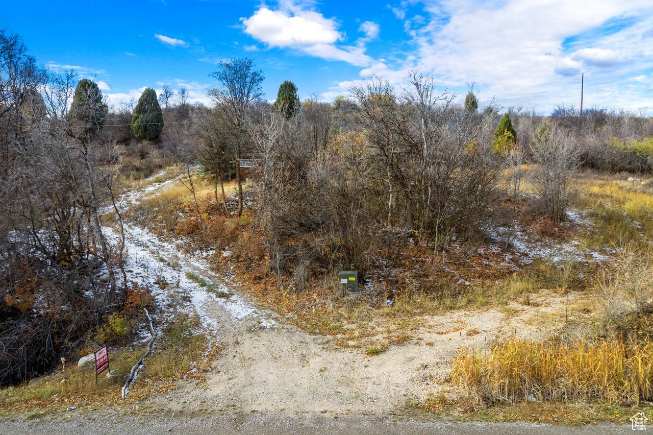 1605 Bear Lake Blvd - Photo 1
