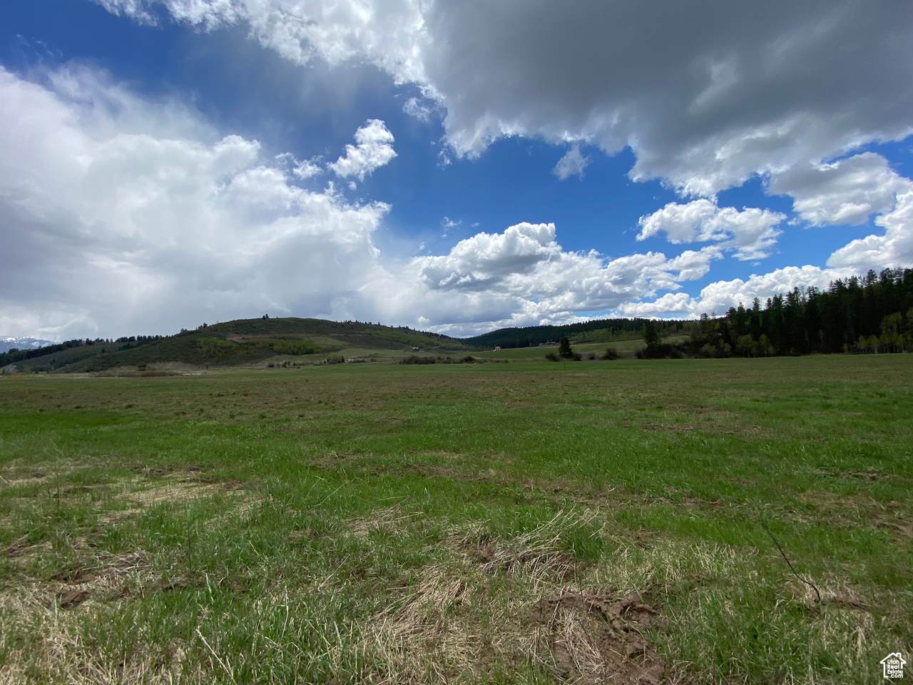 https://bt-photos.global.ssl.fastly.net/wasatch/1280_boomver_1_2073585-1.jpg
