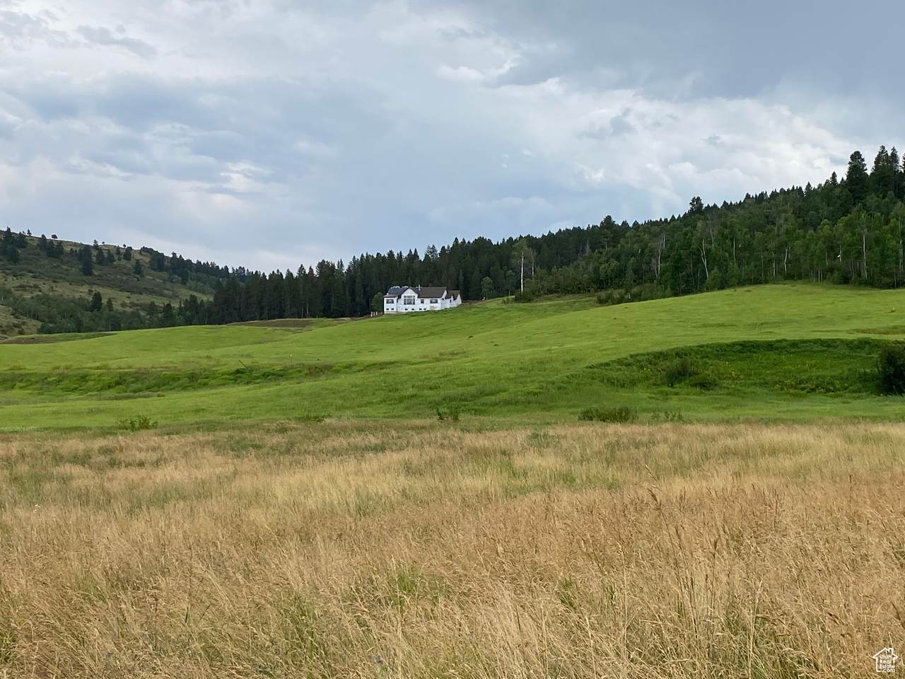 https://bt-photos.global.ssl.fastly.net/wasatch/1280_boomver_1_2073677-1.jpg